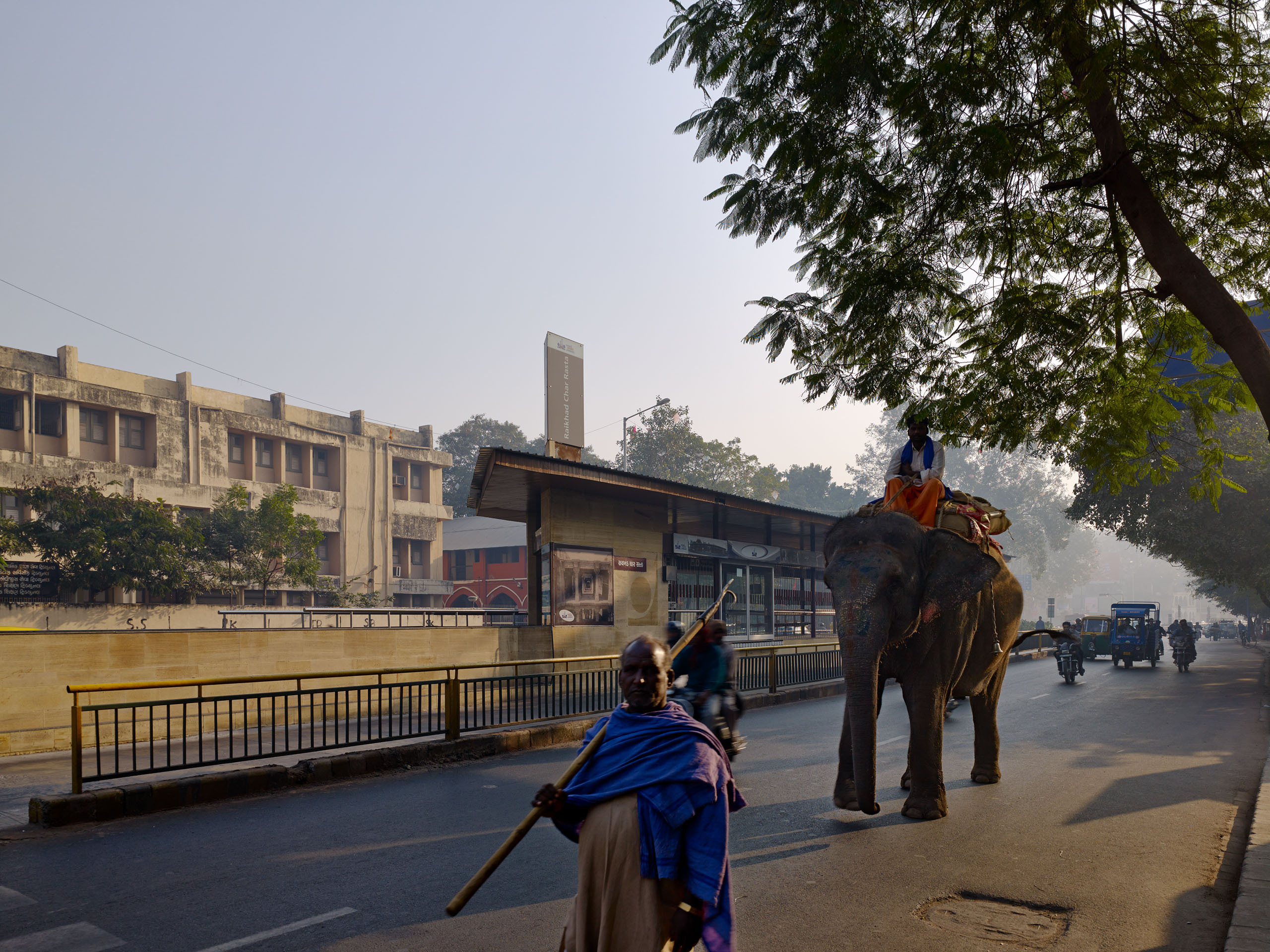 E14492 Alpa 042520 j2560